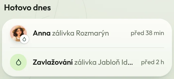 Hotovo dnes: Anna zalila rozmarýn
