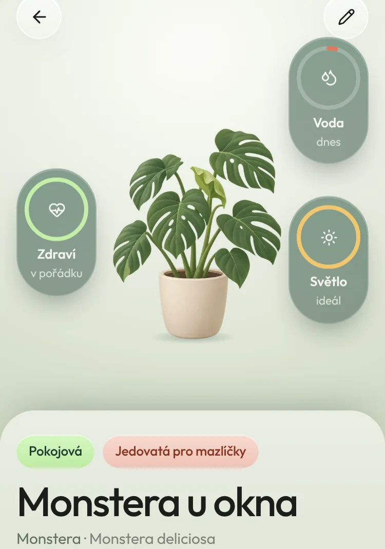 Detail kytky se zdravím
